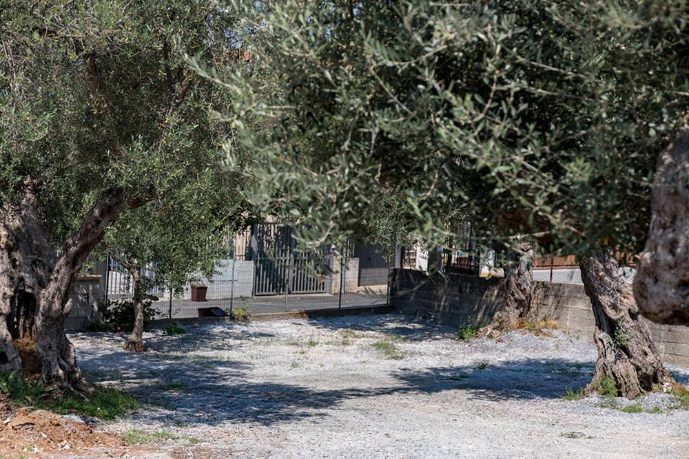 B&B Il Feudo Cirella Εξωτερικό φωτογραφία